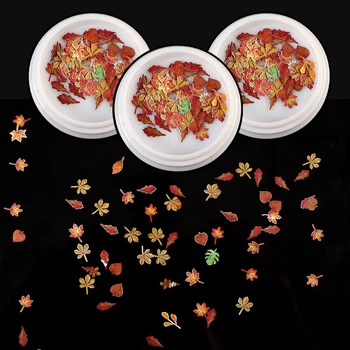 Nagų dekoras Klevo lapai Lipdukų asortimentas Nagų pakabukai Manikiūras Džiovintos spalvingos gėlės Ginkmedžio lapai DIY Netikrų nagų dekoravimas - Nuotrauka 1  