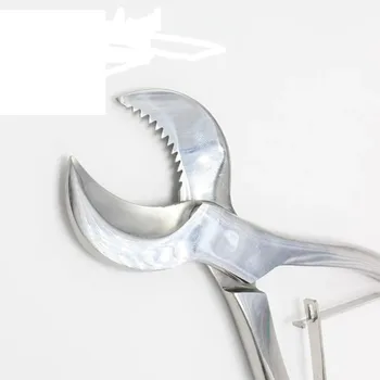 Didelis 20cm / 16cm ilgio dantų laboratorijos gipso žirklės Stomatologijos medžiaga Gipso žirklės dantų laboratorijos įrangai - Nuotrauka 2  
